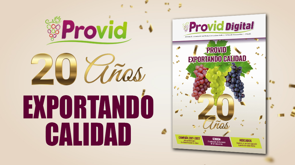 Revista Interactiva Provid Digital – Noviembre 002