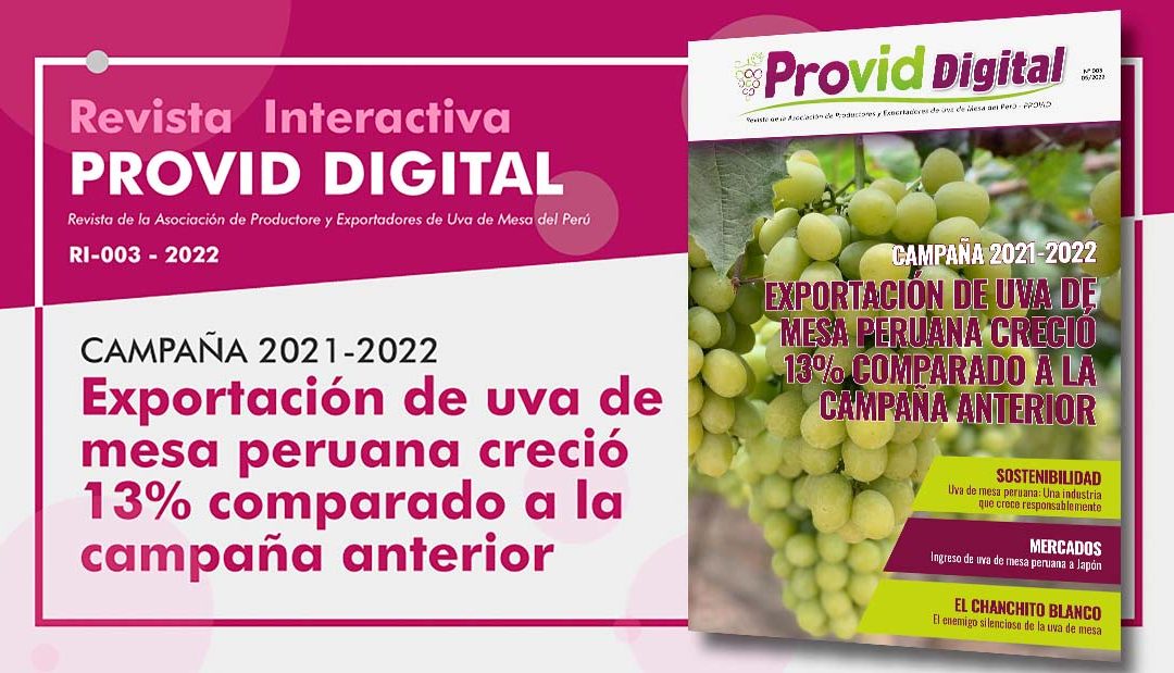 Revista Interactiva Provid Digital – Mayo 003