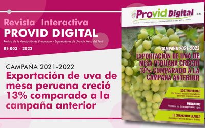 Revista Interactiva Provid Digital – Mayo 003