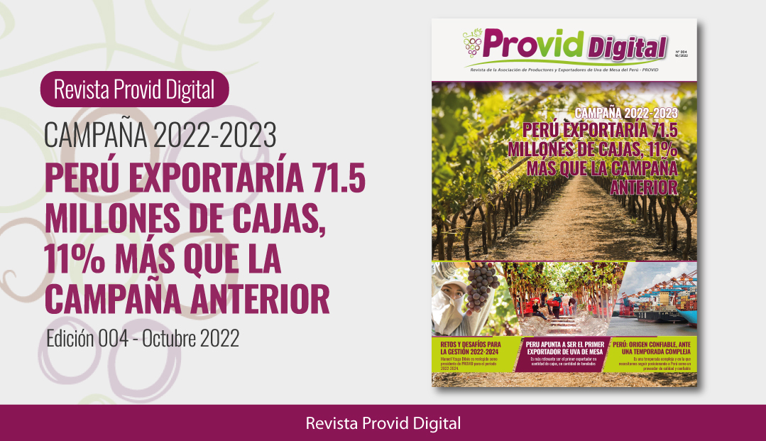 Revista Interactiva Provid Digital – Octubre 2022