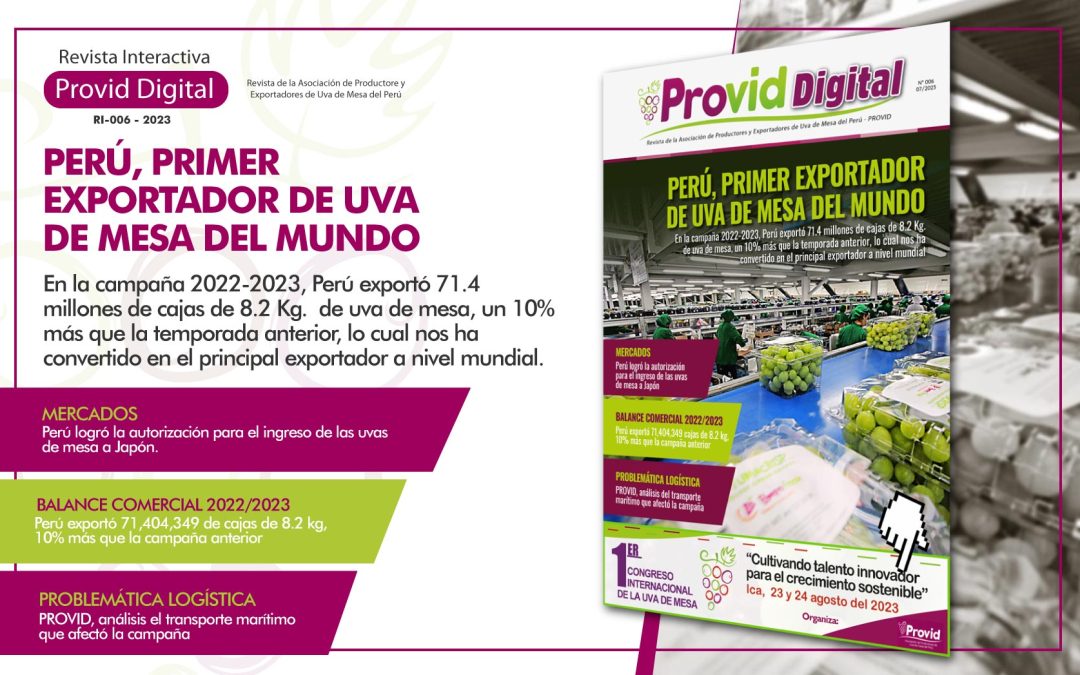 Flyer-provid-006