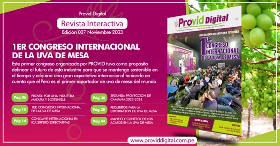 Provid Digital – Revista Interactiva – Edición 007 Noviembre 2023