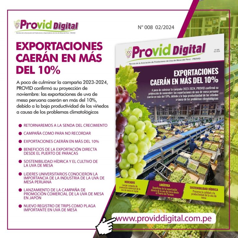 PROVIDDIGITAL- EDICION FEBRERO 2024